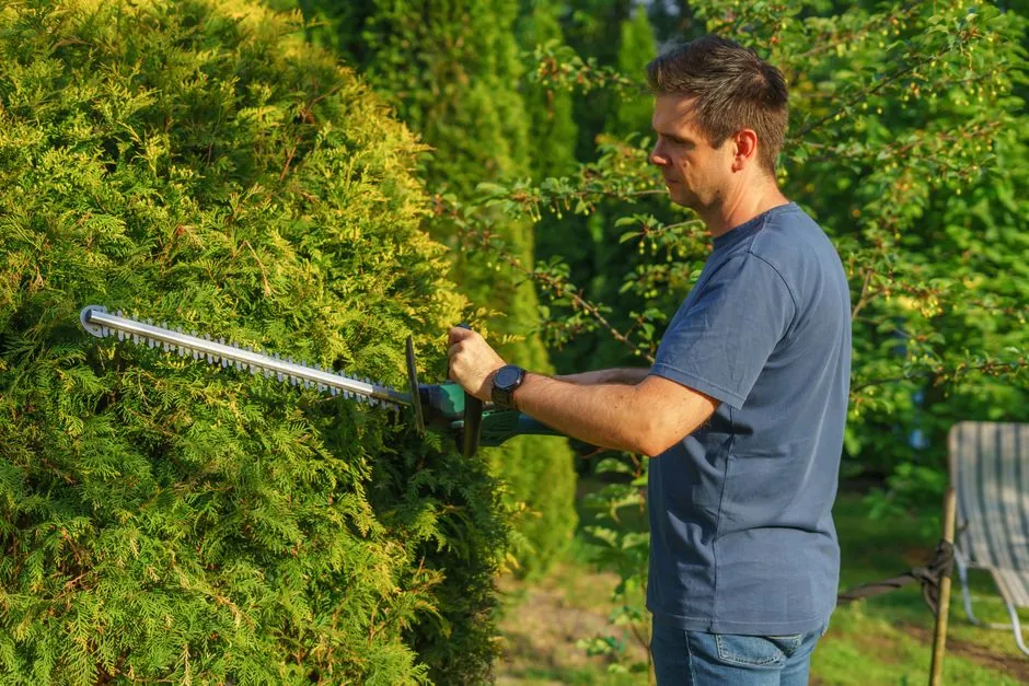 Travail soigné d'un jardin par AD Espaces Verts