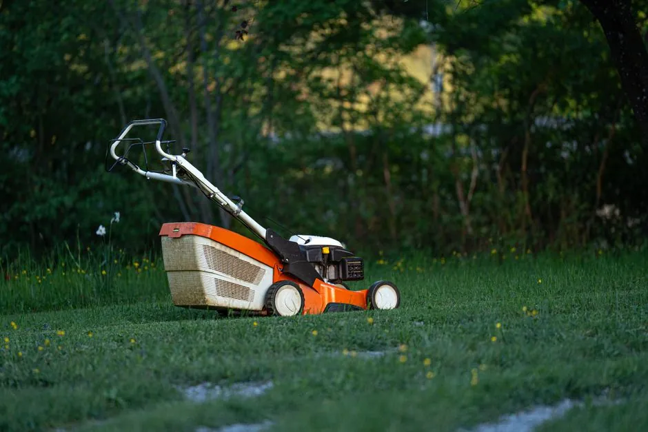 Réalisation de jardin AD Espaces Verts