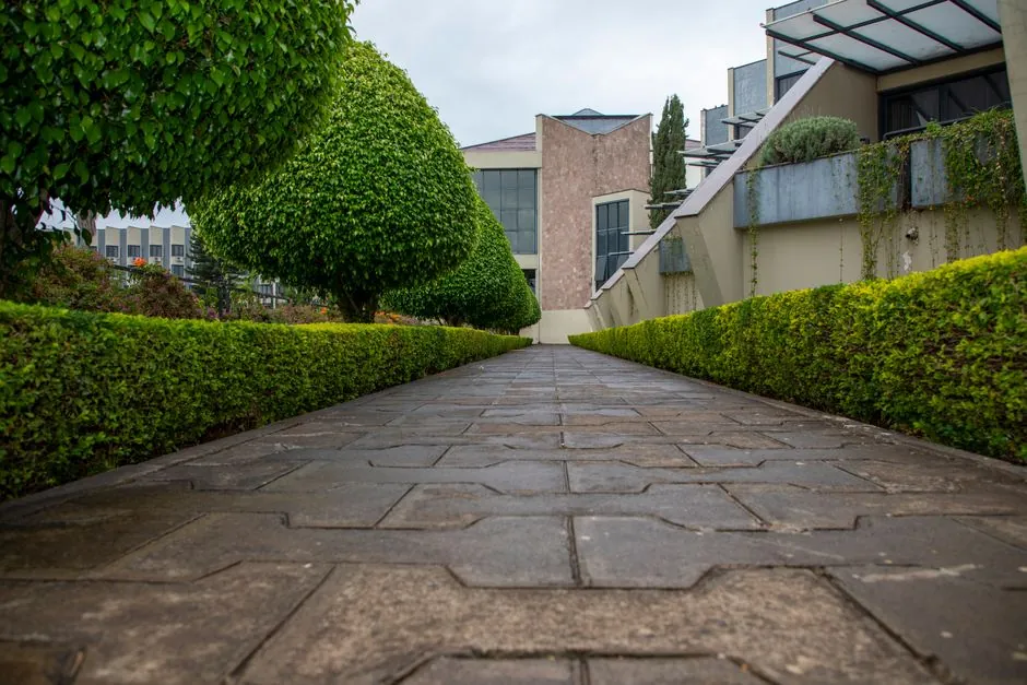 Jardin entretenu sur la durée