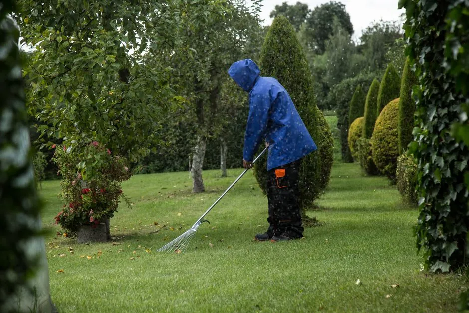 Jardin entretenu par AD Espaces Verts